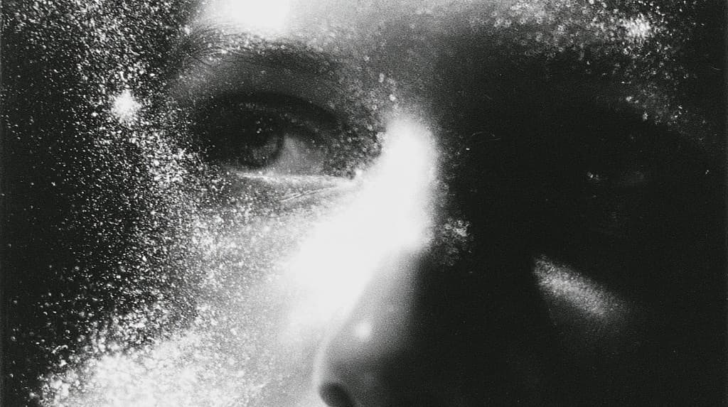 Close-up portrait used for the Palmier Service section
